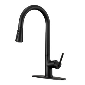 CF15010 Kitchen Faucet